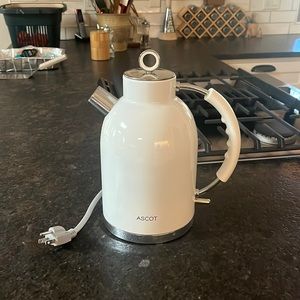 Electric tea kettle